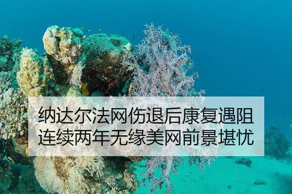 na-da-er-fa-wang-shang-tui-hou-kang-fu-yu-zu-lian-xu-liang-nian-wu-yuan-mei-wang-qian-jing-kan-you-2-831.jpg