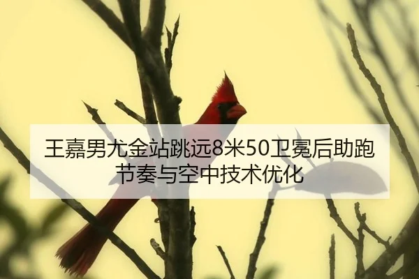 王嘉男尤金站跳远8米50卫冕后助跑节奏与空中技术优化