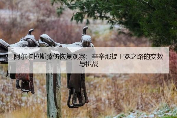 a-er-ka-la-si-xi-shang-hui-fu-guan-cha-xin-xin-na-ti-wei-mian-zhi-lu-de-bian-shu-yu-tiao-zhan-2-947.jpg